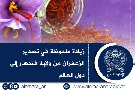 زيادة ملحوظة في تصدير الزعفران من ولاية قندهار إلى دول العالم