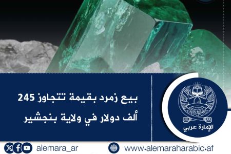 بيع زمرد بقيمة تتجاوز 245 ألف دولار في ولاية بنجشير