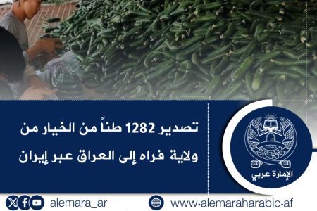 تصدير 1282 طناً من الخيار من ولاية فراه إلى العراق عبر إيران