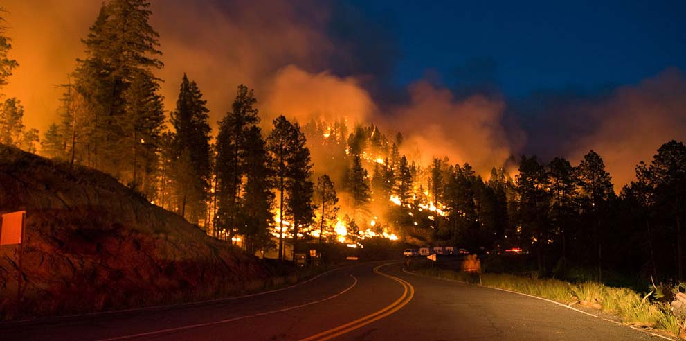 عشرات الضحايا بحرائق غابات كاليفورنيا