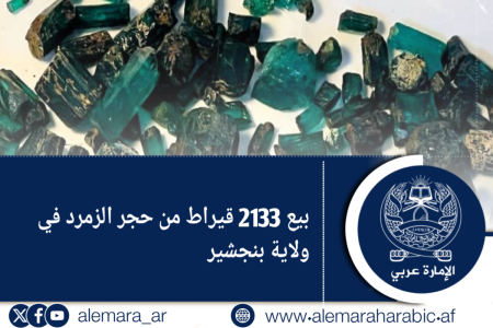 بيع 2133 قيراط من حجر الزمرد في ولاية بنجشير