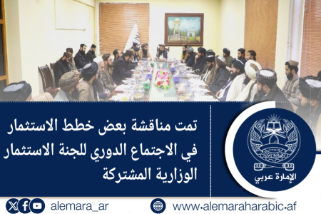 تمت مناقشة بعض خطط الاستثمار في الاجتماع الدوري للجنة الاستثمار الوزارية المشتركة