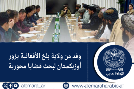 وفد من ولاية بلخ الأفغانية يزور أوزبكستان لبحث قضايا محورية