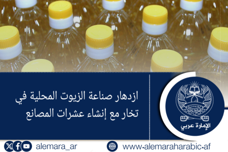 ازدهار صناعة الزيوت المحلية في تخار مع إنشاء عشرات المصانع