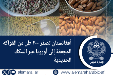 أفغانستان تصدّر ٢٠٠ طن من الفواكه  المجففة إلى أوروبا عبر السكك الحديدية