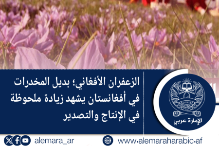 الزعفران الأفغاني؛ بديل المخدرات في أفغانستان يشهد زيادة ملحوظة في الإنتاج والتصدير