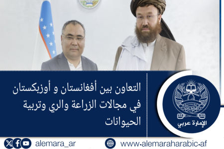 التعاون بين أفغانستان و أوزبكستان في مجالات الزراعة والري وتربية الحيوانات