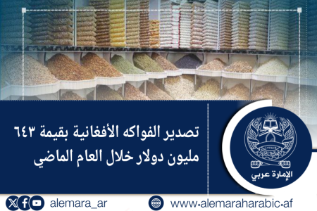 تصدير الفواكه الأفغانية بقيمة ٦٤٣ مليون دولار خلال العام الماضي