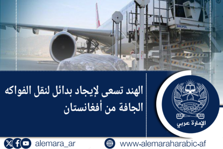الهند تسعى لإيجاد بدائل لنقل الفواكه الجافة من أفغانستان