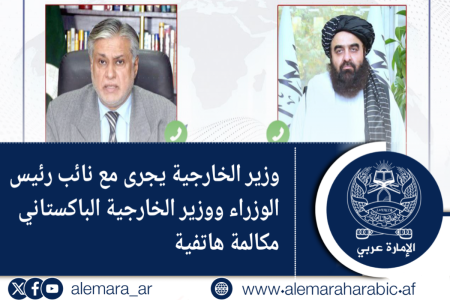 وزير الخارجية يجرى مع نائب رئيس الوزراء ووزير الخارجية الباكستاني مكالمة هاتفية